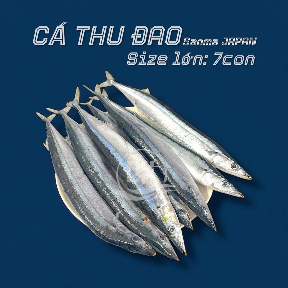 Cá Thu Đao size 1-duoc-ban-tai-Thực Phẩm Đông Hải