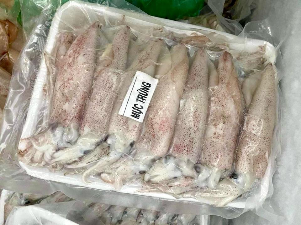 Mực trứng -duoc-ban-tai-Thực Phẩm Đông Hải