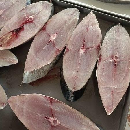Cá thu khúc giữa khoanh lớn -duoc-ban-tai-Thực Phẩm Đông Hải