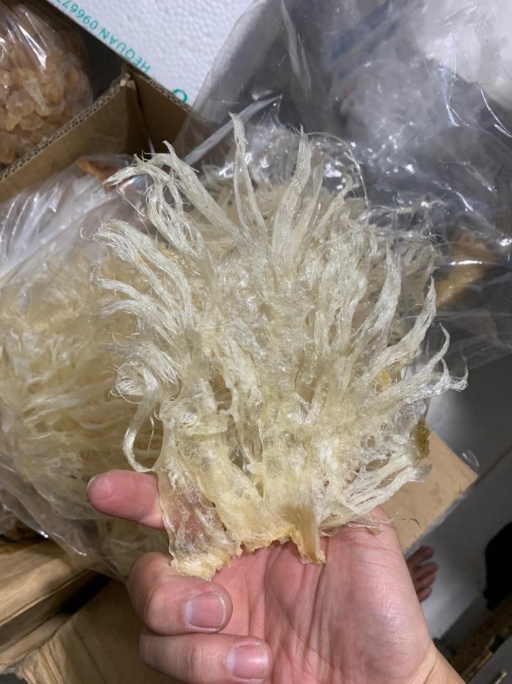 100GR VI CÁ NGUYÊN CÁNH SƠ CHẾ-duoc-ban-tai-YẾN SÀO HOÀNG ANH