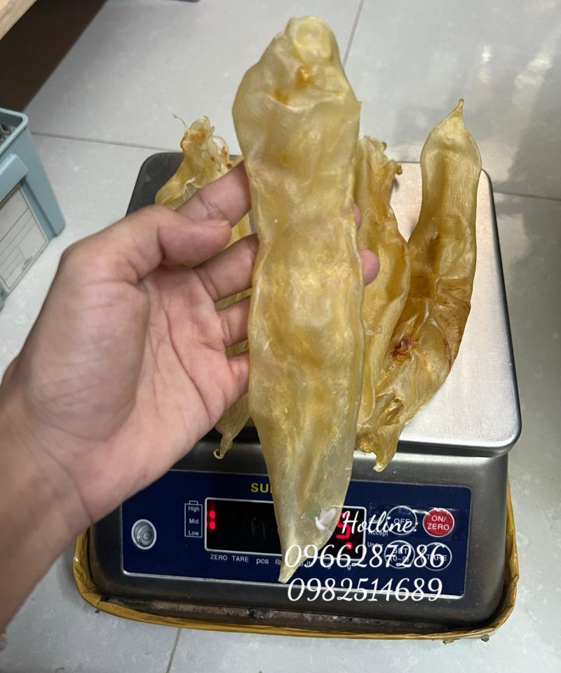 100GR BONG BÓNG CÁ CHẼM CHUẨN XUẤT KHẨU SIZE ĐẠI-duoc-ban-tai-YẾN SÀO HOÀNG ANH
