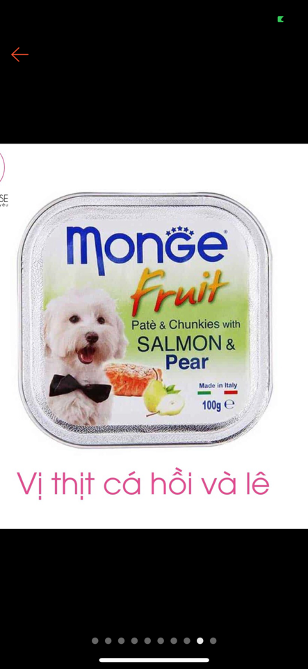 Monge - Pate cho Chó vị Cá Hồi & Quả Lê Hộp 100g-duoc-ban-tai-AAN PETFOOD WAREHOUSE