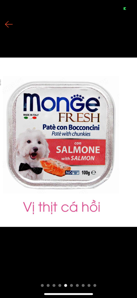 Monge - Pate cho Chó vị Cá Hồi Hộp 100g-duoc-ban-tai-AAN PETFOOD WAREHOUSE