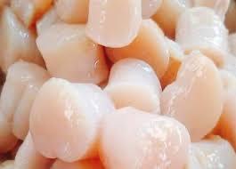 Cồi sò mai-duoc-ban-tai-Shop cá hồi Thái Bình