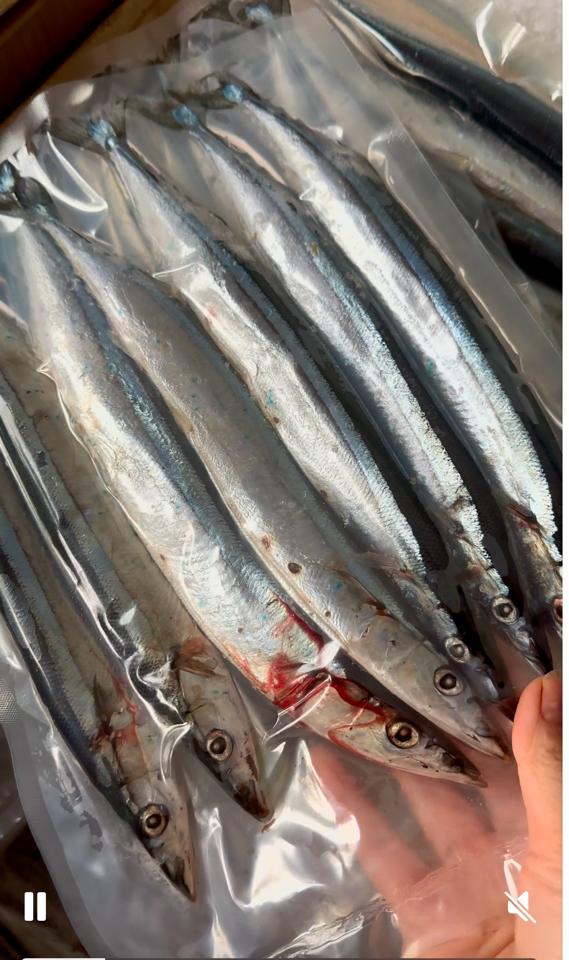 Cá thu sanma-duoc-ban-tai-Shop cá hồi Thái Bình