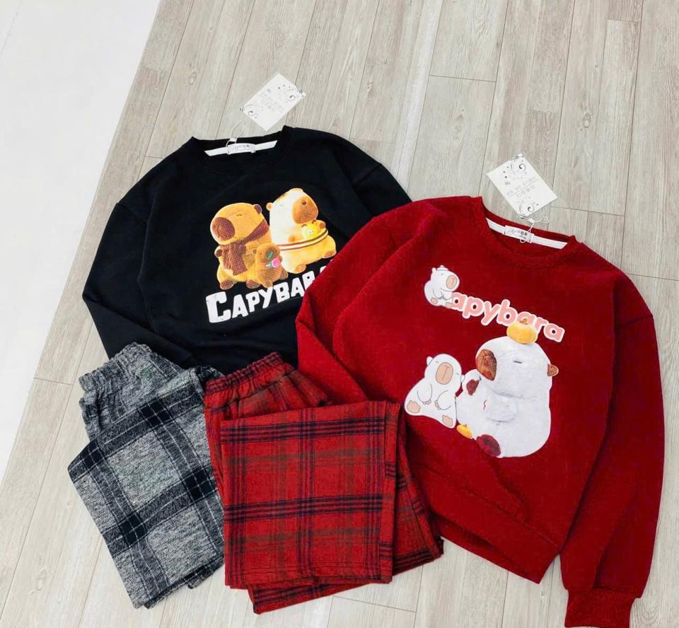 Bộ capybara  quần kẻ đại -duoc-ban-tai-Kho sỉ quần áo