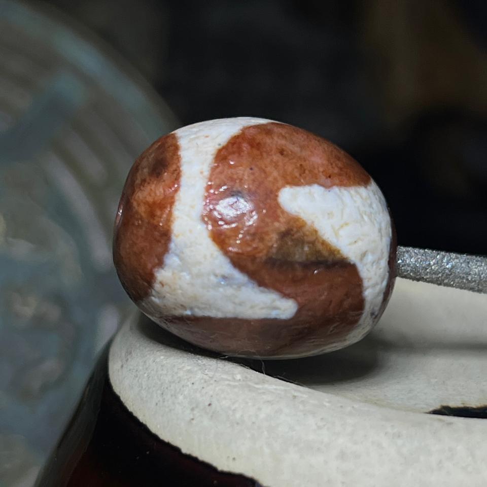 (22,5*18,5mm) Cát Bì Hổ Nha-duoc-ban-tai-CHANGTU