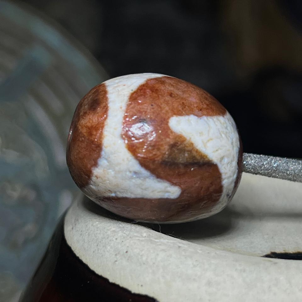 (22,5*18,5mm) Cát Bì Hổ Nha-duoc-ban-tai-CHANGTU