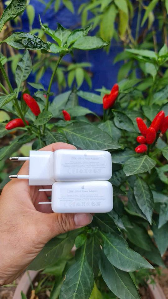 Cốc Apple 29W A1540 Chính Hãng - Cũ 98%. TVY-duoc-ban-tai-ĐTDĐ TOÀN QUỐC 2