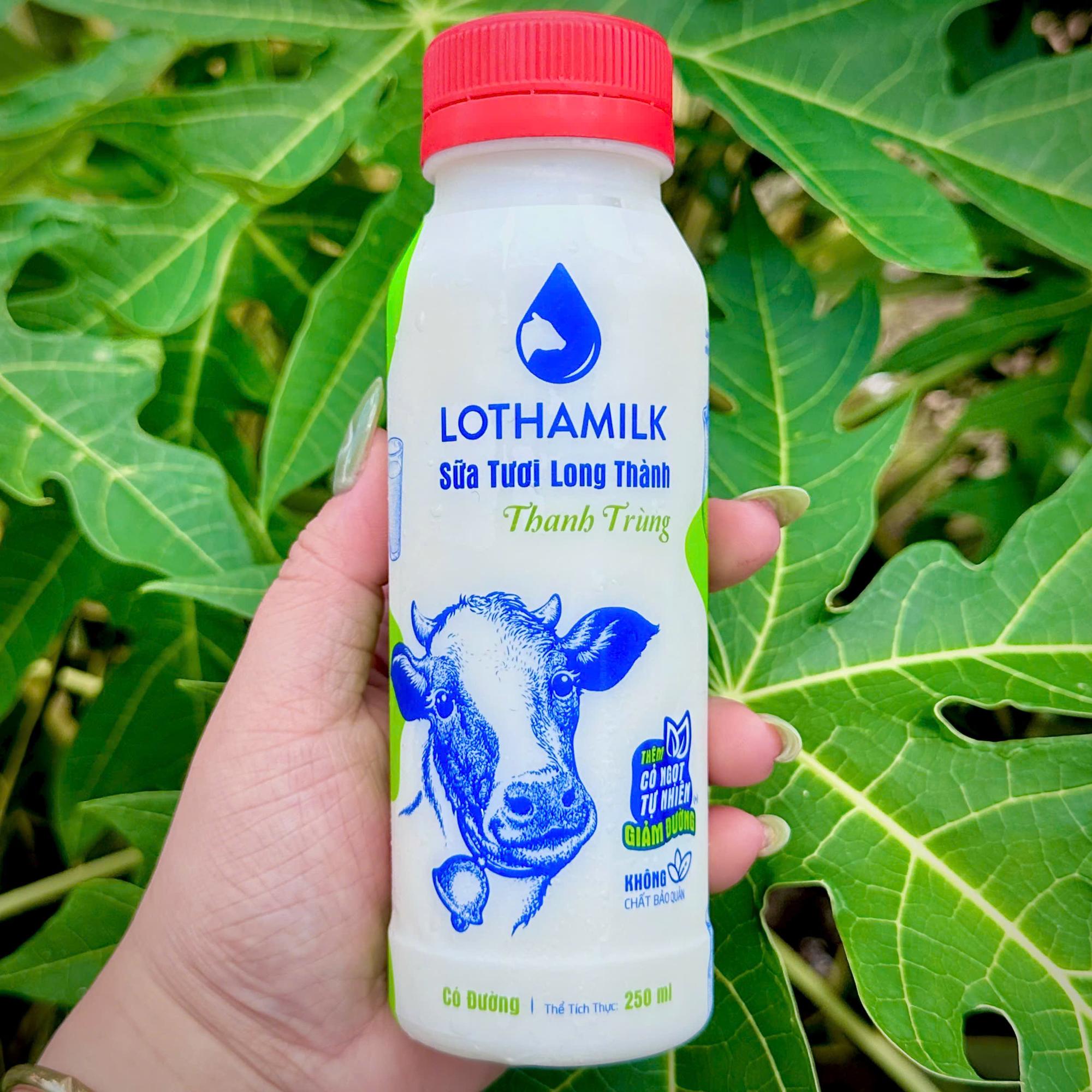 SỮA TƯƠI THANH TRÙNG LONG THÀNH LOTHAMILK 250ml-duoc-ban-tai-Hồng Nhi Gỏi Cuốn & Bò Bía - Bình Tân