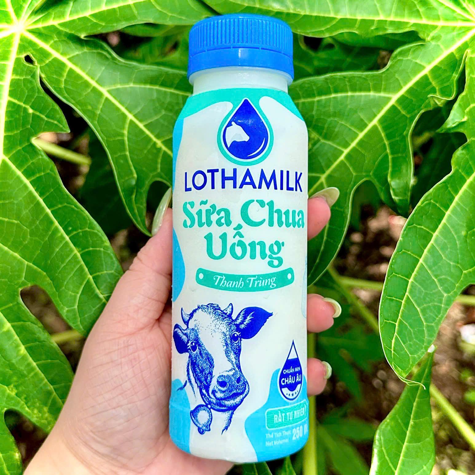 SỮA CHUA UỐNG VỊ TỰ NHIÊN LONG THÀNH LOTHAMILK-duoc-ban-tai-Hồng Nhi Gỏi Cuốn & Bò Bía - Bình Tân