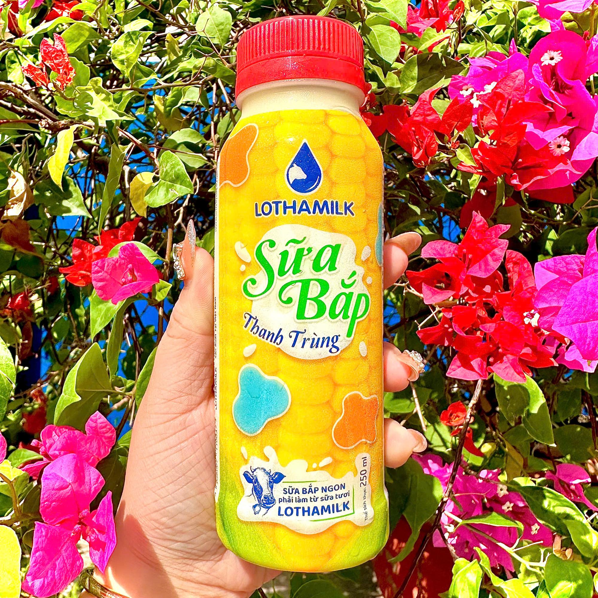  SỮA BẮP LONG THÀNH LOTHAMILK-duoc-ban-tai-Hồng Nhi Gỏi Cuốn & Bò Bía - Bình Tân