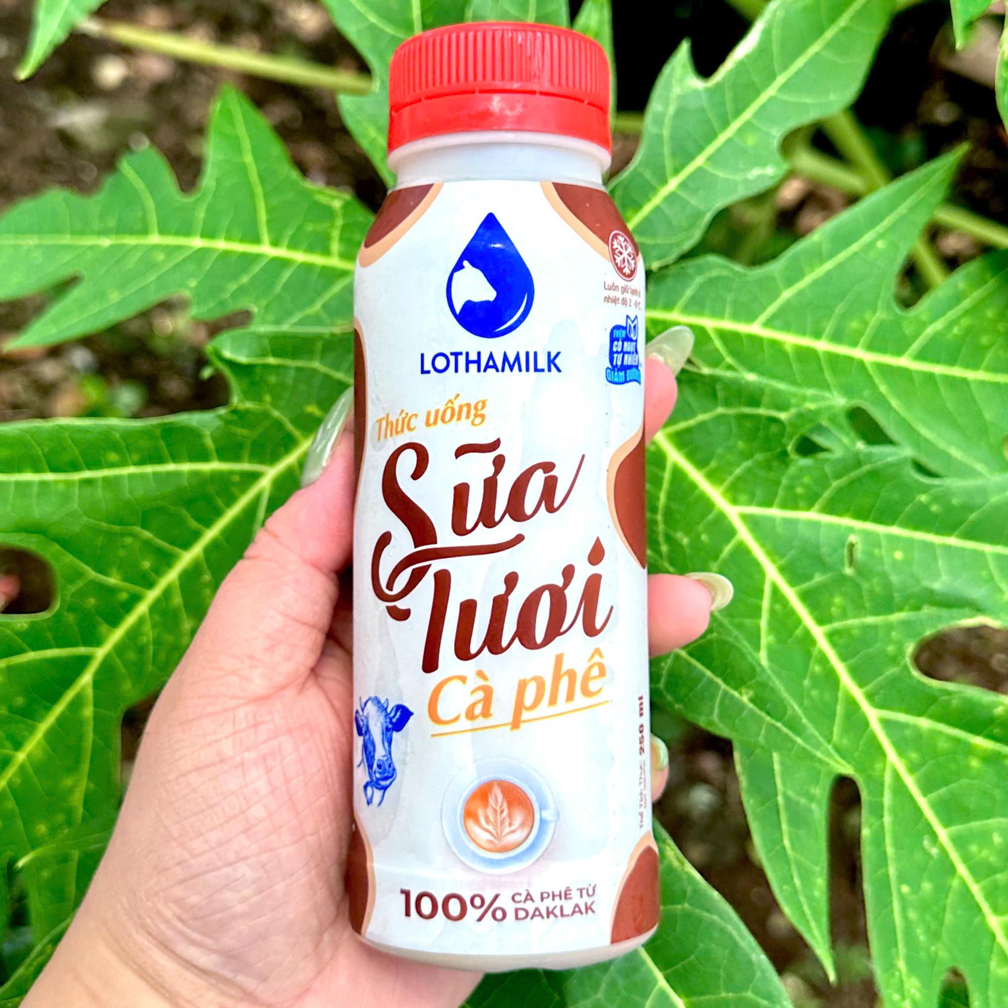 SỮA TƯƠI CAFE LONG THÀNH LOTHAMILK-duoc-ban-tai-Hồng Nhi Gỏi Cuốn & Bò Bía - Bình Tân