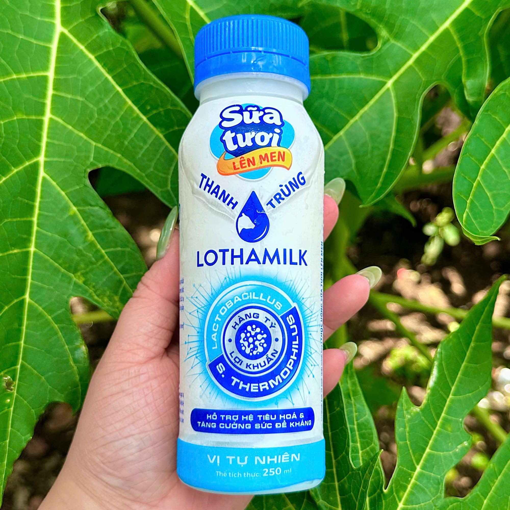 SỮA TƯƠI THANH TRÙNG LÊN MEN LONG THÀNH LOTHAMILK-duoc-ban-tai-Hồng Nhi Gỏi Cuốn & Bò Bía - Bình Tân