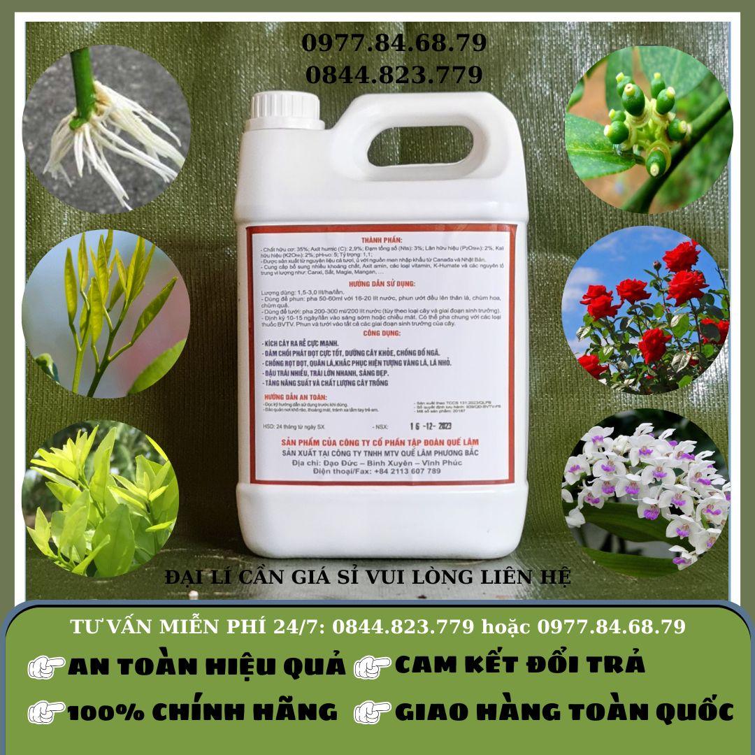 Humate Rong Biển Quế Lâm SH05 Can 5 lít-duoc-ban-tai-Cửa hàng vật tư nông nghiệp Tân Lạc
