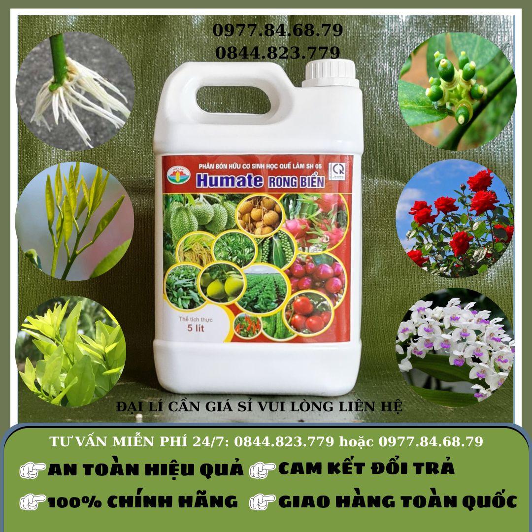 Humate Rong Biển Quế Lâm SH05 Can 5 lít-duoc-ban-tai-Cửa hàng vật tư nông nghiệp Tân Lạc