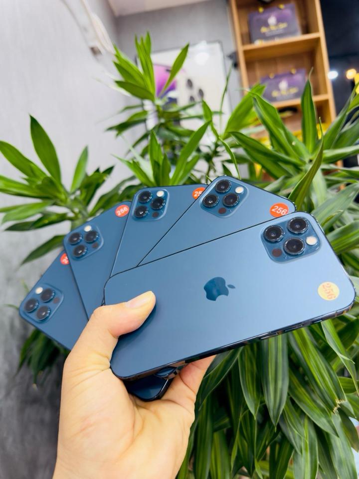 12 pro 128-duoc-ban-tai-Hùng Thùy apple