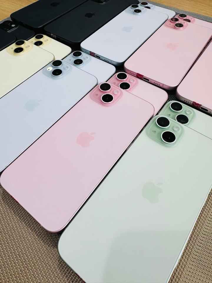 15 plus Hồng xanh -duoc-ban-tai-Hùng Thùy apple