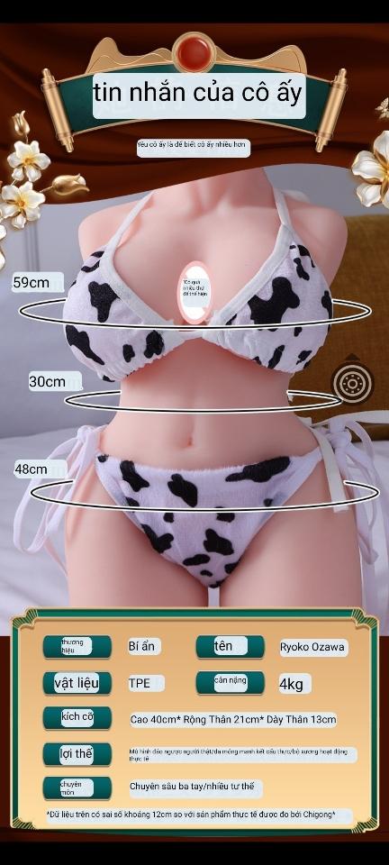 Búp Bê Tình Dục - Ryoko Ozawa-duoc-ban-tai-Beo Popper USA