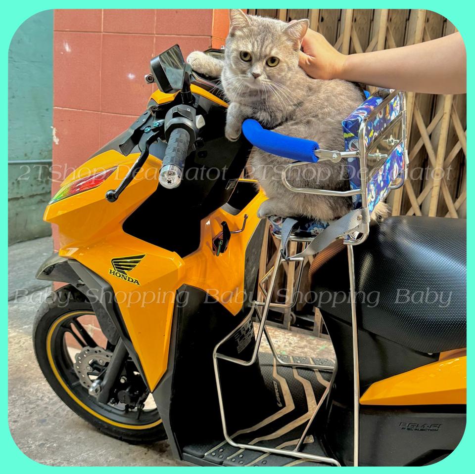 Ghế Ngồi Xe Máy Cho Bé Dưới 2 Tuổi Có Tựa Lưng - Dành Cho Xe Vario, Luvias, Click, Click Thái, Freego, Fino-duoc-ban-tai-2TShop.Dealgiatot