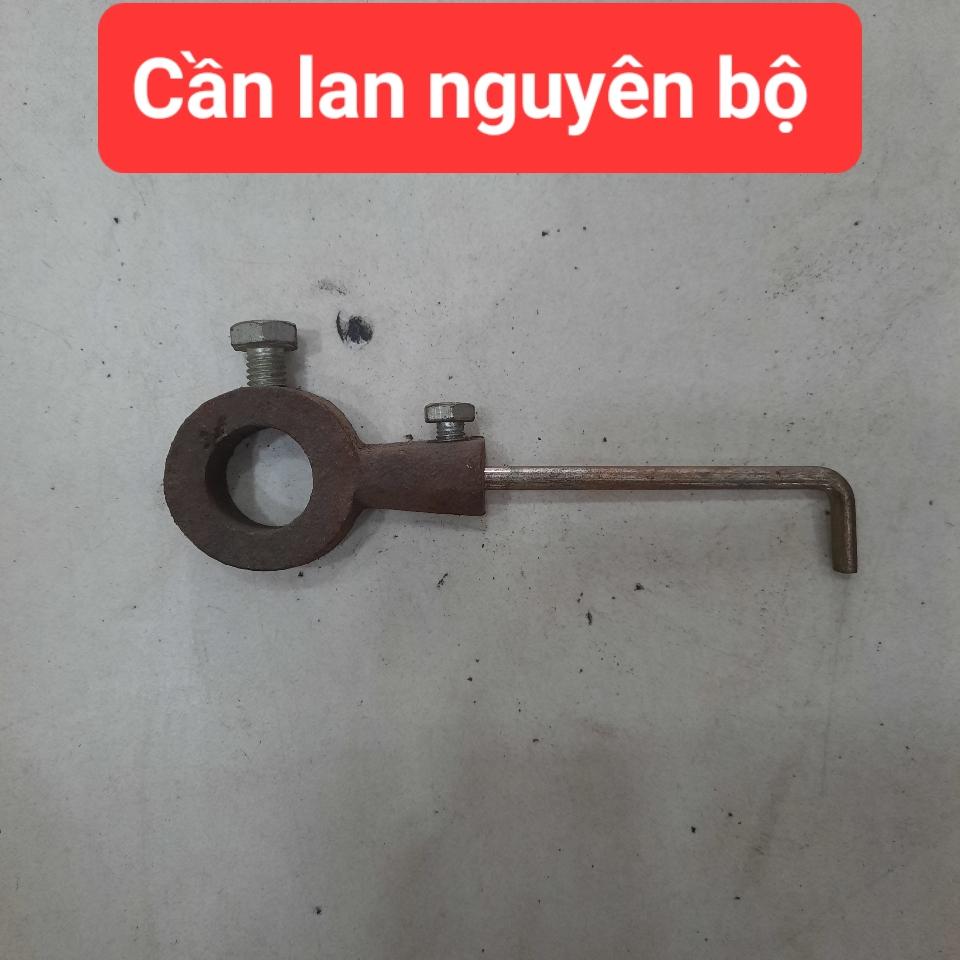 Cần lan nguyên bộ, TG-duoc-ban-tai-Hồng Đức
