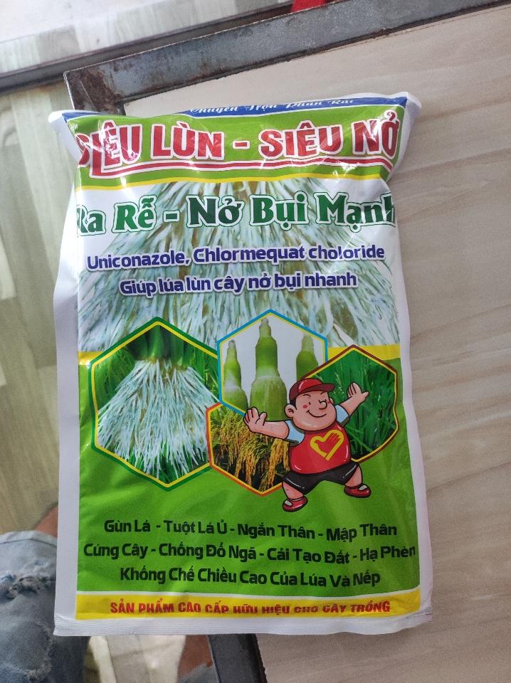 Siêu lùn_ siêu nở-duoc-ban-tai-VTNN Quang Trung