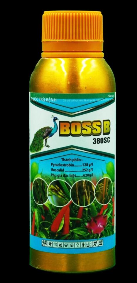 Boss B-duoc-ban-tai-VTNN Quang Trung
