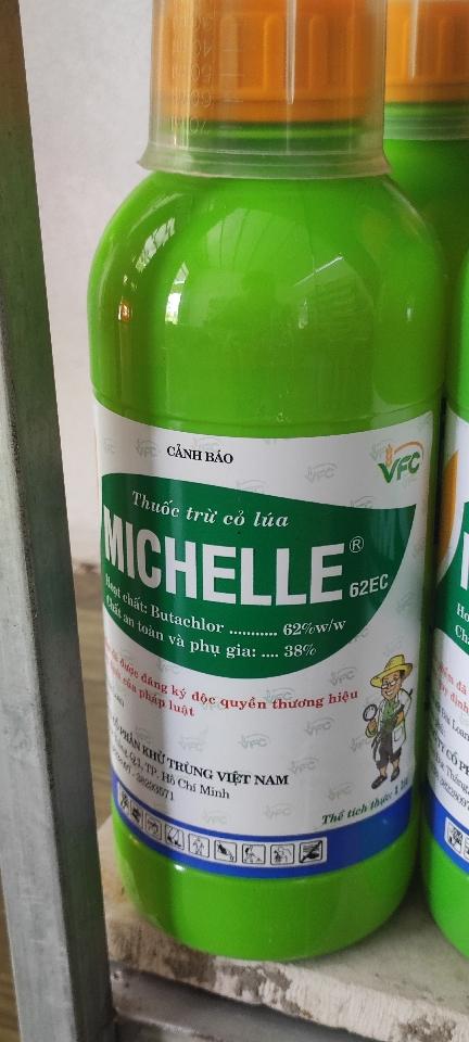 Michelle VFC-duoc-ban-tai-VTNN Quang Trung