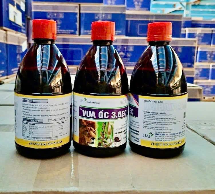 3.6 Vua Ốc-duoc-ban-tai-VTNN Quang Trung