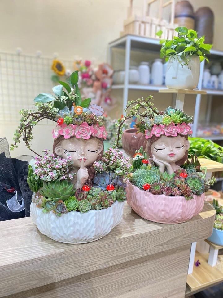 Sen đá Cô gái-duoc-ban-tai-Zerõ Garden - Sống Xanh Sống An Lành