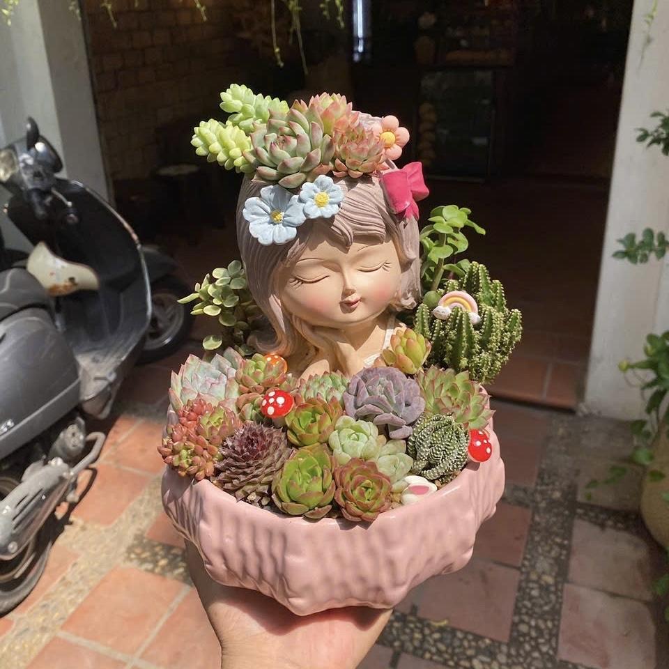 Sen đá Cô gái-duoc-ban-tai-Zerõ Garden - Sống Xanh Sống An Lành