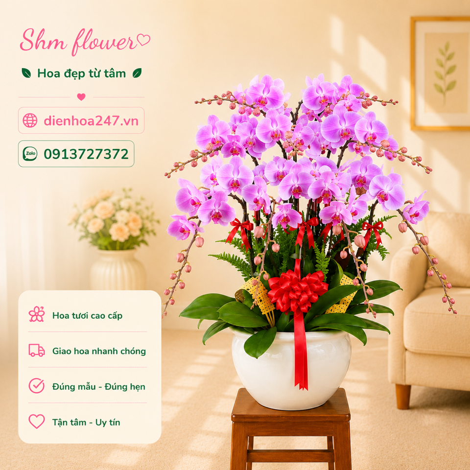 Lan Hồ điệp 05-duoc-ban-tai-Dịch vụ Điện hoa toàn quốc