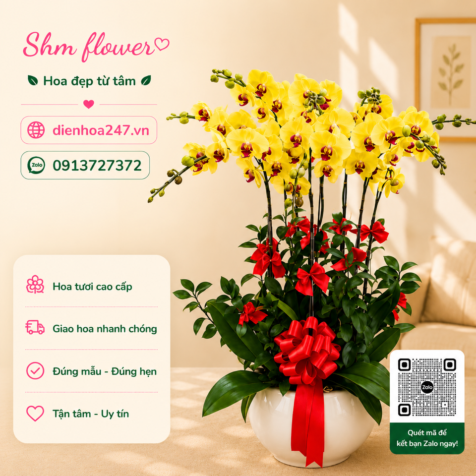Lan Hồ điệp 03-duoc-ban-tai-Dịch vụ Điện hoa toàn quốc