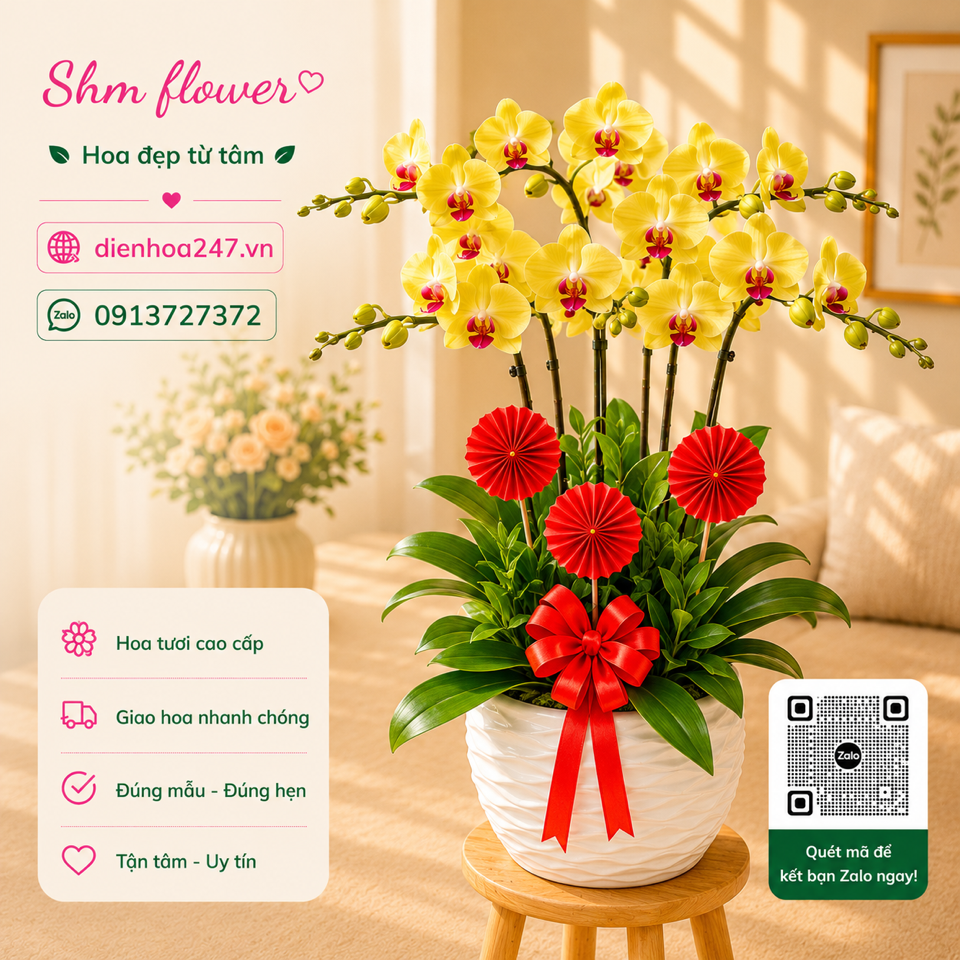 Lan Hồ điệp 04-duoc-ban-tai-Dịch vụ Điện hoa toàn quốc