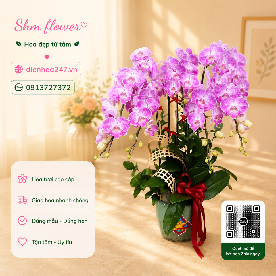 Lan Hồ điệp 07-duoc-ban-tai-Dịch vụ Điện hoa toàn quốc