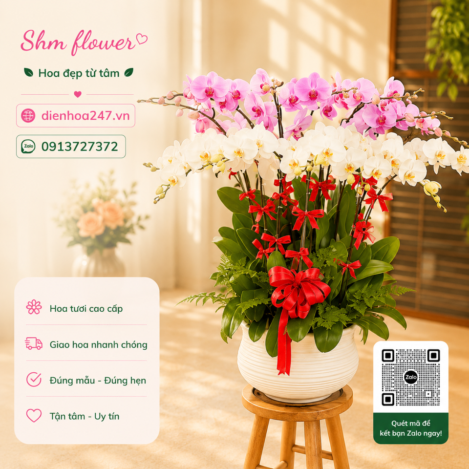 Lan Hồ điệp 06-duoc-ban-tai-Dịch vụ Điện hoa toàn quốc
