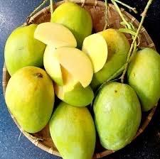 Xoài cát Hoà Lộc-duoc-ban-tai-THỰC PHẨM SẠCH