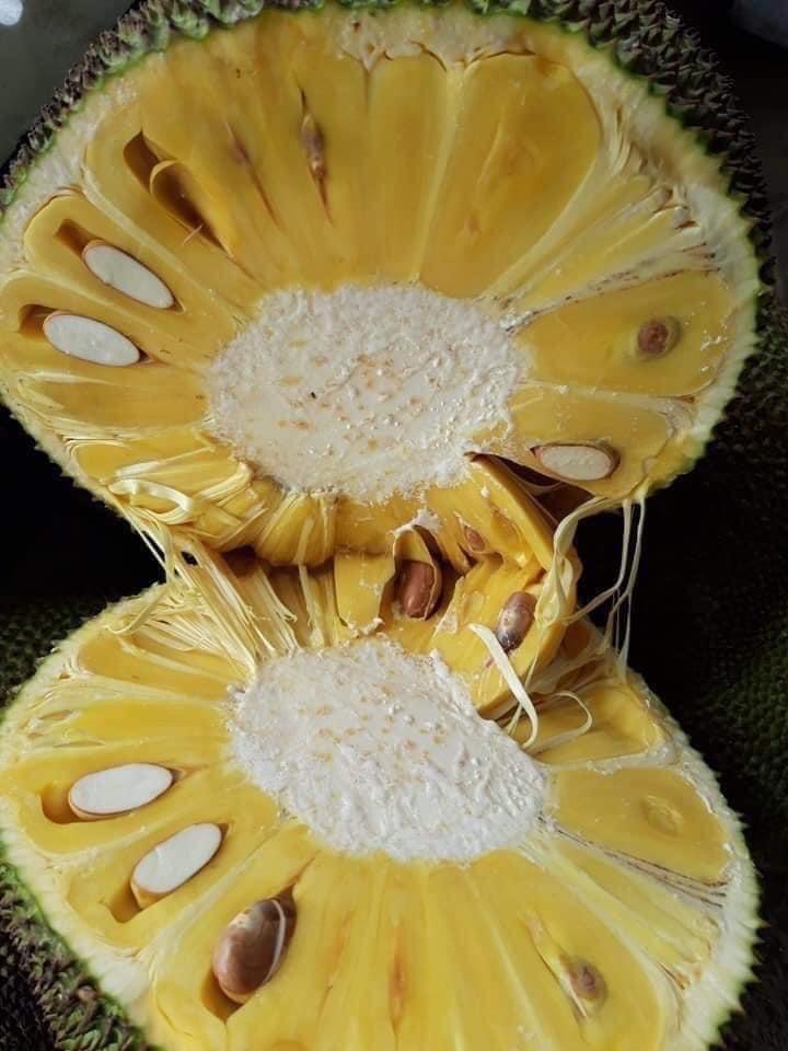 Mít-duoc-ban-tai-THỰC PHẨM SẠCH