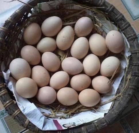Trứng gà-duoc-ban-tai-THỰC PHẨM SẠCH