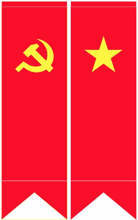 Đuôi cá (70cm x 2m) in 1 mặt-duoc-ban-tai-Cờ Sao Nguyễn Duy