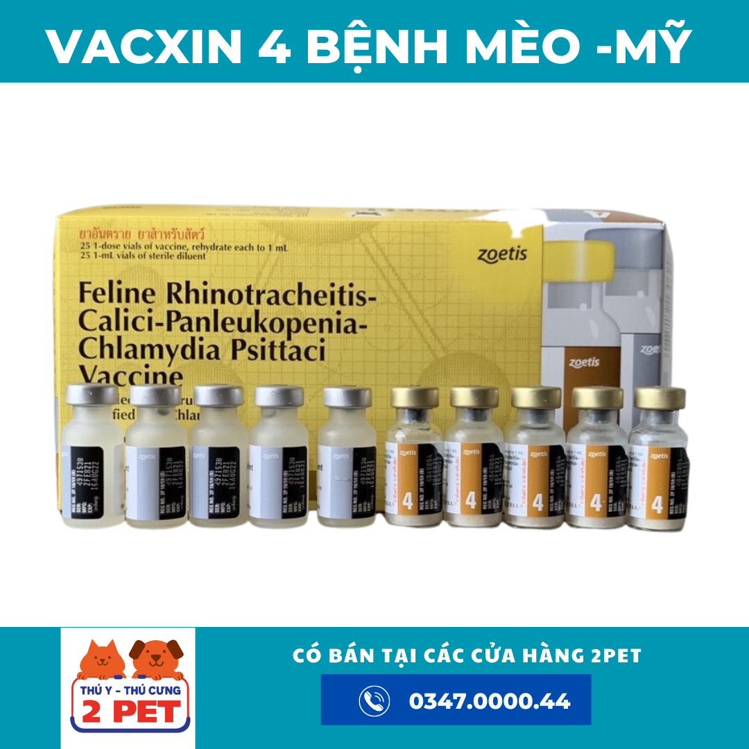 VACXIN 4 BỆNH MÈO MỸ HOẶC PHÁP -duoc-ban-tai-2PET TÂN ĐÔ