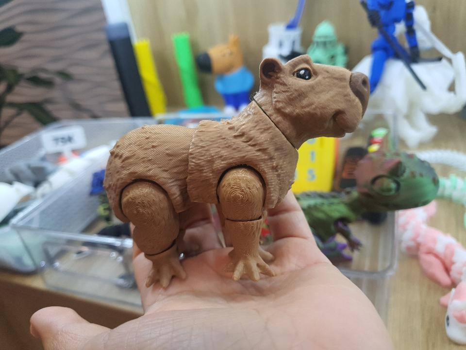 Capybara khớp-duoc-ban-tai-Lytran 3D Printing