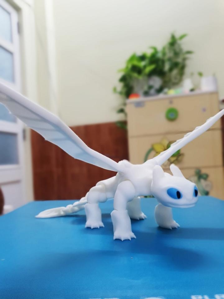 Light Fury Rồng trắng-duoc-ban-tai-Lytran3D Gold Coast