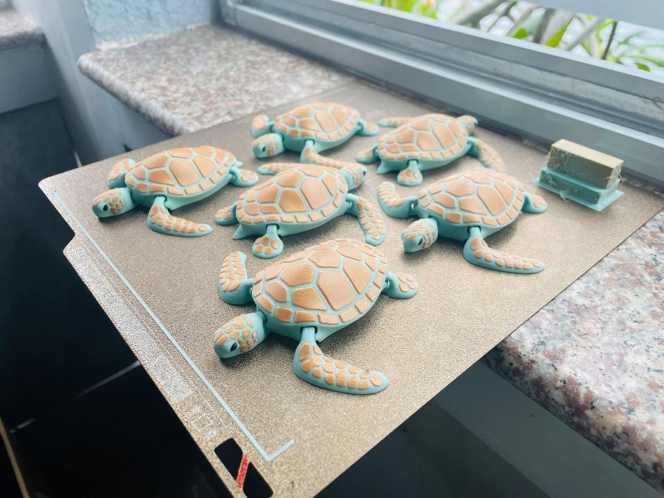 Rùa biển-duoc-ban-tai-Lytran 3D Printing