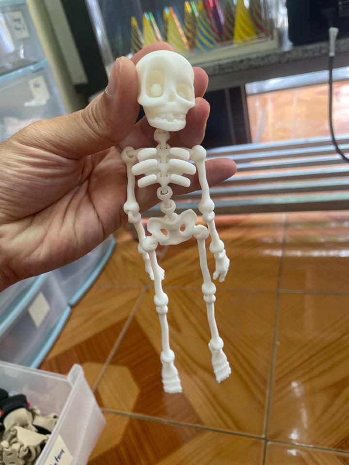 Skeleton bộ xương-duoc-ban-tai-Lytran3D Gold Coast