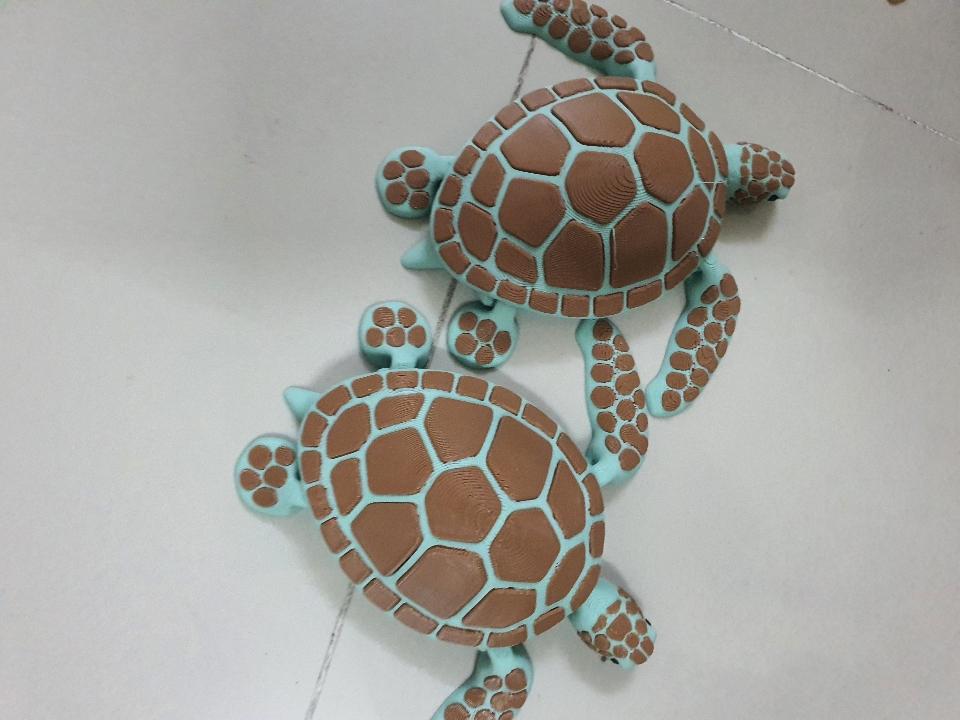 Rùa biển-duoc-ban-tai-Lytran 3D Printing