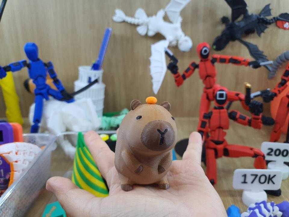 Capybara Size M-duoc-ban-tai-Lytran 3D Printing