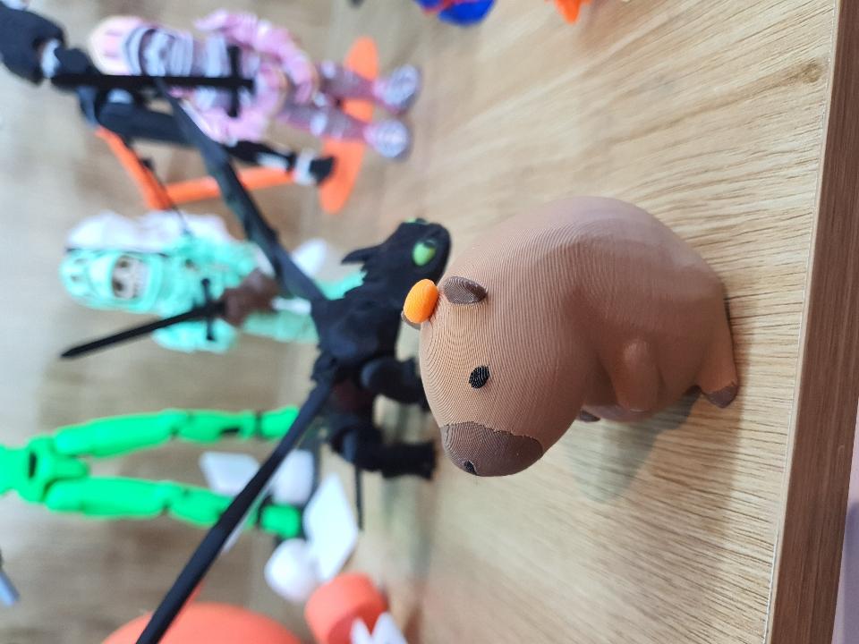 Capybara Size M-duoc-ban-tai-Lytran 3D Printing