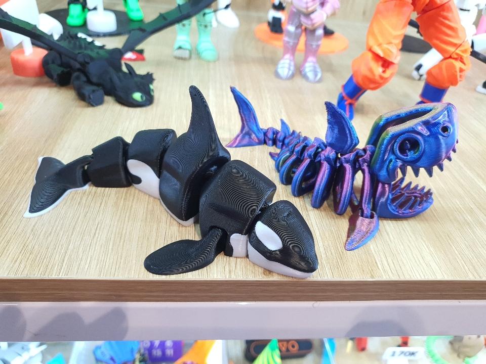 Cá mập xương-duoc-ban-tai-Lytran 3D Printing