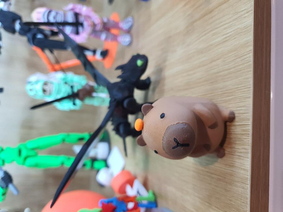 Capybara Size M-duoc-ban-tai-Lytran 3D Printing